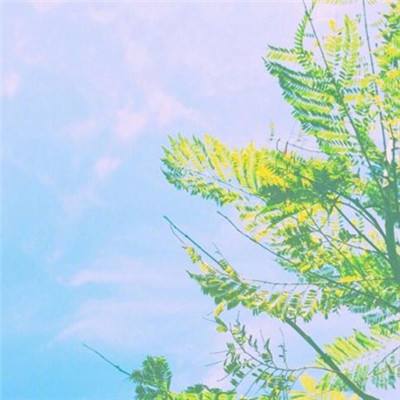 销魂手秒你喔游戏下载
